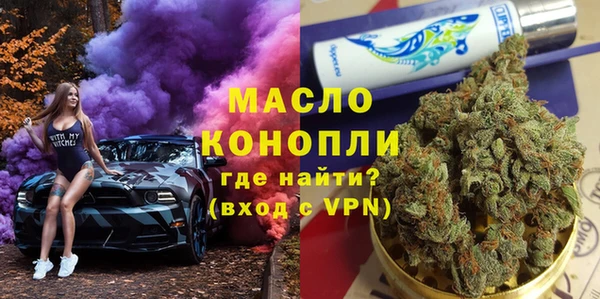 крисы Надым