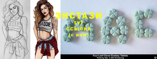крисы Надым
