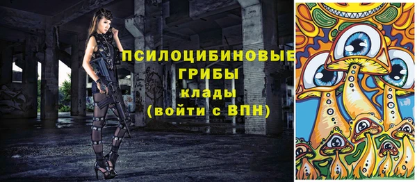 крисы Надым