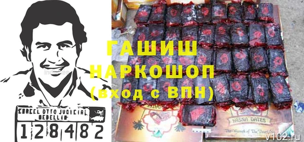 крисы Надым