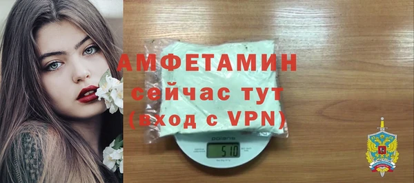 крисы Надым