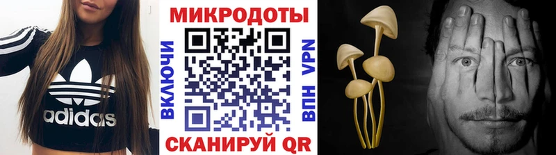 где купить наркоту  Новомосковск  Псилоцибиновые грибы MAGIC MUSHROOMS 