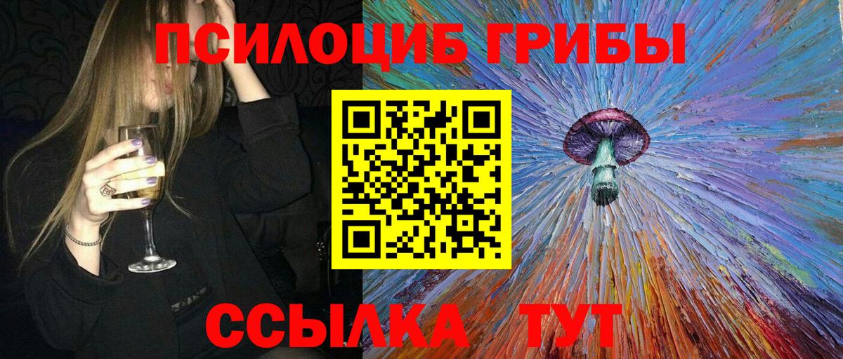 Новомосковск  Псилоцибиновые грибы Magic Shrooms  Вход с VPN  Псилоцибиновые грибы Psilocybe 